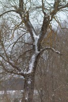 Filename=schnee-sulz-20-IMG_6031bs.JPG
Filesize=1398KiB
Dimensions=1280x1920
Date added=Feb 07, 2012 schnee-sulz-20-IMG_6031bs.JPG
