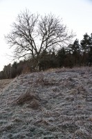 Dateiname=2016-12-30_08-52-12_frost_7D2L1888b.jpg
Dateigröße=1437KB
Abmessungen: 1280x1920
hinzugefügt am: 03. Januar 2017 2016-12-30_08-52-12_frost_7D2L1888b.jpg