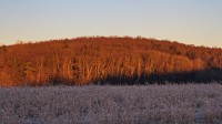 Dateiname=2016-12-30_09-00-47_frost_7D2L1923b.jpg
Dateigröße=843KB
Abmessungen: 1920x1080
hinzugefügt am: 03. Januar 2017 2016-12-30_09-00-47_frost_7D2L1923b.jpg