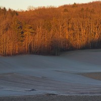 Dateiname=2016-12-30_09-01-42_frost_7D2L1929b.jpg
Dateigröße=1375KB
Abmessungen: 1920x1920
hinzugefügt am: 03. Januar 2017 2016-12-30_09-01-42_frost_7D2L1929b.jpg