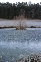 Dateiname=2016-12-30_09-10-38_frost_7D2L1959b.jpg
Dateigröße=1477KB
Abmessungen: 1280x1920
hinzugefügt am: 03. Januar 2017 2016-12-30_09-10-38_frost_7D2L1959b.jpg