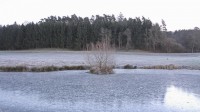 Dateiname=2016-12-30_09-11-00_frost_7D2L1965b.jpg
Dateigröße=908KB
Abmessungen: 1920x1080
hinzugefügt am: 03. Januar 2017 2016-12-30_09-11-00_frost_7D2L1965b.jpg