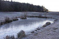 Dateiname=2016-12-30_09-12-59_frost_7D2L1988b.jpg
Dateigröße=1308KB
Abmessungen: 1920x1280
hinzugefügt am: 03. Januar 2017 2016-12-30_09-12-59_frost_7D2L1988b.jpg