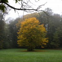 Dateiname=2012-10-20_10-46-50_herbst_7D1L6689bs.JPG
Dateigröße=1002KB
Abmessungen: 1567x1567
hinzugefügt am: 26. Oktober 2012 2012-10-20_10-46-50_herbst_7D1L6689bs.JPG