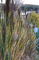 Dateiname=2015-11-10_17-20-13-Herbst-7D2L5886b.jpg
Dateigröße=919KB
Abmessungen: 1280x1920
hinzugefügt am: 10. November 2015 2015-11-10_17-20-13-Herbst-7D2L5886b.jpg