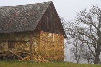 Dateiname=2015-12-08_09-45-02-Herbst-Nebel-7D2L6061b.jpg
Dateigröße=1177KB
Abmessungen: 1920x1280
hinzugefügt am: 08. Dezember 2015 2015-12-08_09-45-02-Herbst-Nebel-7D2L6061b.jpg