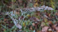 Dateiname=2015-12-08_09-58-59-Herbst-Nebel-7D2L6087b.jpg
Dateigröße=690KB
Abmessungen: 1920x1080
hinzugefügt am: 08. Dezember 2015 2015-12-08_09-58-59-Herbst-Nebel-7D2L6087b.jpg