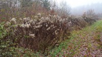 Dateiname=2015-12-08_10-06-26-Herbst-Nebel-7D2L6108b.jpg
Dateigröße=1432KB
Abmessungen: 1920x1081
hinzugefügt am: 08. Dezember 2015 2015-12-08_10-06-26-Herbst-Nebel-7D2L6108b.jpg