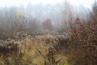 Dateiname=2015-12-08_10-07-16-Herbst-Nebel-7D2L6111b.jpg
Dateigröße=1250KB
Abmessungen: 1920x1280
hinzugefügt am: 08. Dezember 2015 2015-12-08_10-07-16-Herbst-Nebel-7D2L6111b.jpg