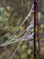 Dateiname=2015-12-08_10-10-27-Herbst-Nebel-7D2L6128b.jpg
Dateigröße=775KB
Abmessungen: 1440x1920
hinzugefügt am: 08. Dezember 2015 2015-12-08_10-10-27-Herbst-Nebel-7D2L6128b.jpg