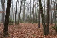 Dateiname=2015-12-08_10-25-56-Herbst-Nebel-7D2L6181b.jpg
Dateigröße=1473KB
Abmessungen: 1920x1280
hinzugefügt am: 08. Dezember 2015 2015-12-08_10-25-56-Herbst-Nebel-7D2L6181b.jpg