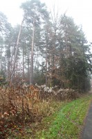 Dateiname=2015-12-08_10-27-53-Herbst-Nebel-7D2L6183b.jpg
Dateigröße=1341KB
Abmessungen: 1280x1920
hinzugefügt am: 08. Dezember 2015 2015-12-08_10-27-53-Herbst-Nebel-7D2L6183b.jpg