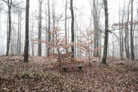 Dateiname=2015-12-08_10-36-41-Herbst-Nebel-7D2L6213b.jpg
Dateigröße=1474KB
Abmessungen: 1920x1280
hinzugefügt am: 08. Dezember 2015 2015-12-08_10-36-41-Herbst-Nebel-7D2L6213b.jpg
