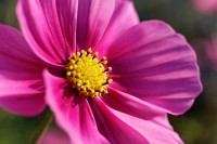 Dateiname=2017-10-17_16-27-23_Herbst_7D1L3892_DxOb.jpg
Dateigröße=2893KB
Abmessungen: 5184x3456
hinzugefügt am: 17. Oktober 2017 2017-10-17_16-27-23_Herbst_7D1L3892_DxOb.jpg