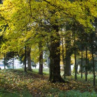 Dateiname=herbstmorgen-08-30102011-IMG_3111-hd.JPG
Dateigröße=1608KB
Abmessungen: 1567x1567
hinzugefügt am: 30. Oktober 2011 herbstmorgen-08-30102011-IMG_3111-hd.JPG