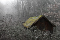 Dateiname=7D2L2719_DxO2_gimp.jpg
Dateigröße=1196KB
Abmessungen: 1920x1280
hinzugefügt am: 09. Januar 2018 7D2L2719_DxO2_gimp.jpg
