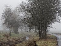 Dateiname=7D2L2783_DxO.jpg
Dateigröße=1121KB
Abmessungen: 1920x1440
hinzugefügt am: 09. Januar 2018 7D2L2783_DxO.jpg