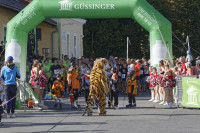 Dateiname=2019-09-21_16-00-24_D2L5604_Wasserlauf-2019s.JPG
Dateigröße=920KB
Abmessungen: 1920x1280
hinzugefügt am: 22. September 2019 2019-09-21_16-00-24_D2L5604_Wasserlauf-2019s.JPG
