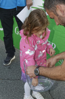 Dateiname=2019-09-21_18-31-40_D1L8187_Wasserlauf-2019s.JPG
Dateigröße=1363KB
Abmessungen: 1920x2880
hinzugefügt am: 22. September 2019 2019-09-21_18-31-40_D1L8187_Wasserlauf-2019s.JPG