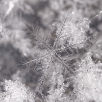 Dateiname=7D1L0815_DxO_b.JPG
Dateigröße=1140KB
Abmessungen: 1920x1920
hinzugefügt am: 19. Dezember 2017 7D1L0815_DxO_b.JPG