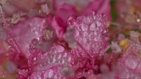 Dateiname=2017-08-09_06-37-57_Morgentau_7D2L6800bs.JPG
Dateigröße=525KB
Abmessungen: 1920x1080
hinzugefügt am: 09. August 2017 2017-08-09_06-37-57_Morgentau_7D2L6800bs.JPG