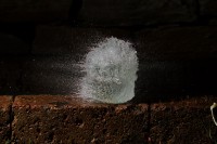 Dateiname=wasserbombe-06s.JPG
Dateigröße=881KB
Abmessungen: 1920x1280
hinzugefügt am: 08. Mai 2011 wasserbombe-06s.JPG