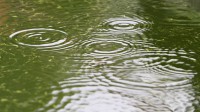 Dateiname=2015-04-28_17-44-55_Drop_7D2L0281bs.JPG
Dateigröße=665KB
Abmessungen: 1920x1080
hinzugefügt am: 28. April 2015 2015-04-28_17-44-55_Drop_7D2L0281bs.JPG