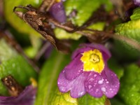 Dateiname=2016-02-17_00-06-51-kw7-7D1L4739bs.JPG
Dateigröße=638KB
Abmessungen: 1920x1440
hinzugefügt am: 16. Februar 2016 2016-02-17_00-06-51-kw7-7D1L4739bs.JPG