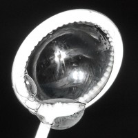 Dateiname=2017-01-22_08-31-57_soup-bubbles_7D1L9878b.jpg
Dateigröße=1104KB
Abmessungen: 1920x1920
hinzugefügt am: 24. Januar 2017 2017-01-22_08-31-57_soup-bubbles_7D1L9878b.jpg