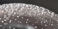Dateiname=2017-01-22_09-00-08_soup-bubbles_7D1L9899b.jpg
Dateigröße=476KB
Abmessungen: 1920x960
hinzugefügt am: 24. Januar 2017 2017-01-22_09-00-08_soup-bubbles_7D1L9899b.jpg