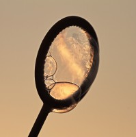 Dateiname=2017-01-22_09-15-11_soup-bubbles_7D1L9935b.jpg
Dateigröße=863KB
Abmessungen: 1919x1920
hinzugefügt am: 24. Januar 2017 2017-01-22_09-15-11_soup-bubbles_7D1L9935b.jpg