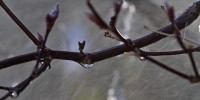 Dateiname=2017-03-28_15-36-42_aeste_7D1L1014bws.JPG
Dateigröße=464KB
Abmessungen: 1920x960
hinzugefügt am: 28. März 2017 2017-03-28_15-36-42_aeste_7D1L1014bws.JPG