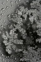 Dateiname=eisblumen_1.JPG
Dateigröße=256KB
Abmessungen: 853x1280
hinzugefügt am: 30. Juli 2010 eisblumen_1.JPG