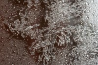 Dateiname=eisblumen_2.JPG
Dateigröße=371KB
Abmessungen: 1280x853
hinzugefügt am: 30. Juli 2010 eisblumen_2.JPG