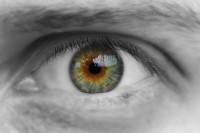 Dateiname=eyes-only-9316-2s.jpg
Dateigröße=376KB
Abmessungen: 1920x1280
hinzugefügt am: 05. August 2010 eyes-only-9316-2s.jpg