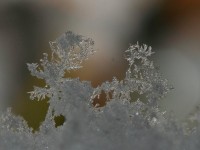 Dateiname=gebilde.jpg
Dateigröße=131KB
Abmessungen: 1280x960
hinzugefügt am: 30. Juli 2010 gebilde.jpg