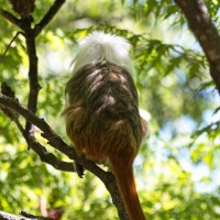 Dateiname=2017-06-08_11-17-13_Tierpark-Herberstein_7D1L1671bws.JPG
Dateigröße=683KB
Abmessungen: 1567x1567
hinzugefügt am: 13. Juni 2017 2017-06-08_11-17-13_Tierpark-Herberstein_7D1L1671bws.JPG