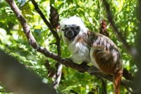 Dateiname=2017-06-08_11-17-25_Tierpark-Herberstein_7D1L1684bws.JPG
Dateigröße=848KB
Abmessungen: 1920x1280
hinzugefügt am: 13. Juni 2017 2017-06-08_11-17-25_Tierpark-Herberstein_7D1L1684bws.JPG