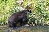 Dateiname=2017-06-08_11-26-39_Tierpark-Herberstein_7D1L1879bws.JPG
Dateigröße=1767KB
Abmessungen: 1920x1280
hinzugefügt am: 13. Juni 2017 2017-06-08_11-26-39_Tierpark-Herberstein_7D1L1879bws.JPG