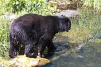 Dateiname=2017-06-08_11-26-43_Tierpark-Herberstein_7D1L1886bws.JPG
Dateigröße=1359KB
Abmessungen: 1920x1280
hinzugefügt am: 13. Juni 2017 2017-06-08_11-26-43_Tierpark-Herberstein_7D1L1886bws.JPG