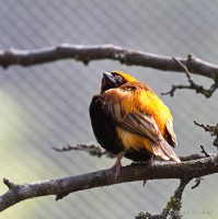 Dateiname=2017-06-08_14-05-53_Tierpark-Herberstein_7D1L2787bws.JPG
Dateigröße=705KB
Abmessungen: 1567x1568
hinzugefügt am: 13. Juni 2017 2017-06-08_14-05-53_Tierpark-Herberstein_7D1L2787bws.JPG