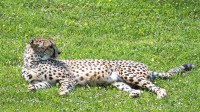 Dateiname=2017-06-08_14-13-25_Tierpark-Herberstein_7D1L2920bws.JPG
Dateigröße=1444KB
Abmessungen: 2090x1176
hinzugefügt am: 13. Juni 2017 2017-06-08_14-13-25_Tierpark-Herberstein_7D1L2920bws.JPG