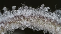 Dateiname=2016-12-06_17-05-54_frost_7D2L1750b.jpg
Dateigröße=658KB
Abmessungen: 1920x1080
hinzugefügt am: 06. Dezember 2016 2016-12-06_17-05-54_frost_7D2L1750b.jpg