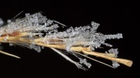 Dateiname=2016-12-06_17-10-44_frost_7D2L1766b.jpg
Dateigröße=556KB
Abmessungen: 1920x1080
hinzugefügt am: 06. Dezember 2016 2016-12-06_17-10-44_frost_7D2L1766b.jpg
