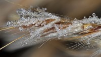 Dateiname=2016-12-06_17-11-59_frost_7D2L1775b.jpg
Dateigröße=661KB
Abmessungen: 1920x1080
hinzugefügt am: 06. Dezember 2016 2016-12-06_17-11-59_frost_7D2L1775b.jpg