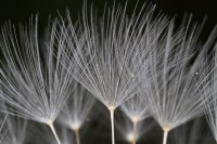 Dateiname=2017-04-11_23-45-48_surreal_7D2L4844bws.JPG
Dateigröße=643KB
Abmessungen: 1920x1280
hinzugefügt am: 11. April 2017 2017-04-11_23-45-48_surreal_7D2L4844bws.JPG