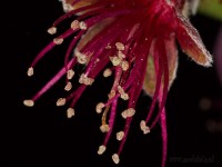 Dateiname=2017-04-11_23-49-40_surreal_7D2L4857bws.JPG
Dateigröße=531KB
Abmessungen: 1920x1440
hinzugefügt am: 11. April 2017 2017-04-11_23-49-40_surreal_7D2L4857bws.JPG