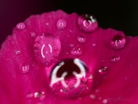 Dateiname=2017-06-07_07-33-06_tropfen_7D2L5637bsw.JPG
Dateigröße=543KB
Abmessungen: 1920x1440
hinzugefügt am: 07. Juni 2017 2017-06-07_07-33-06_tropfen_7D2L5637bsw.JPG
