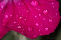 Dateiname=2017-06-07_07-33-55_tropfen_7D2L5640bsw.JPG
Dateigröße=509KB
Abmessungen: 1920x1281
hinzugefügt am: 07. Juni 2017 2017-06-07_07-33-55_tropfen_7D2L5640bsw.JPG