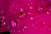 Dateiname=2017-06-07_07-35-28_tropfen_7D2L5647bsw.JPG
Dateigröße=500KB
Abmessungen: 1920x1280
hinzugefügt am: 07. Juni 2017 2017-06-07_07-35-28_tropfen_7D2L5647bsw.JPG